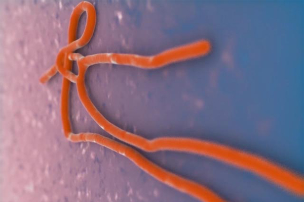 U of I Innovators Raising Money, Developing Technology to Fight Ebola Virus